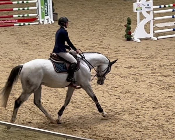 Video von Cornet's Star 3