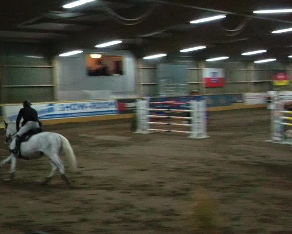 Reitturnier Pausin 2023