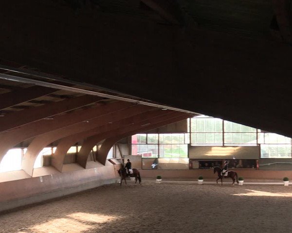 Reitturnier Ratingen-Volkardey 2023
