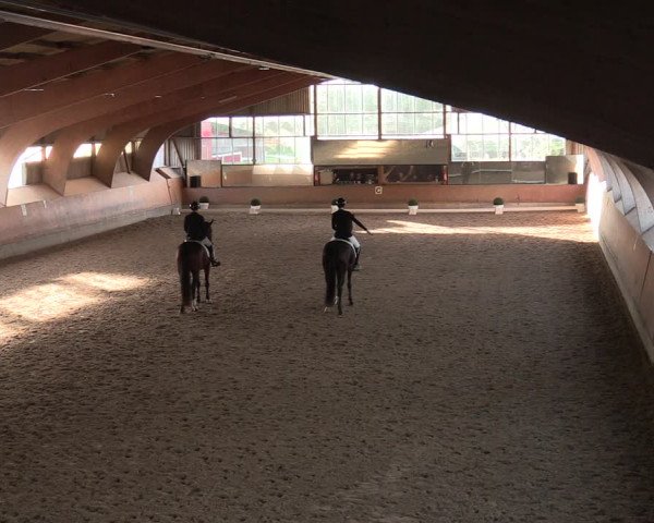 Reitturnier Ratingen-Volkardey 2023