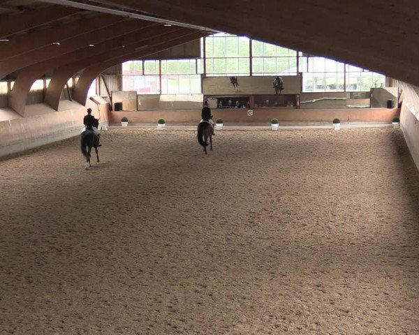 Reitturnier Ratingen-Volkardey 2023