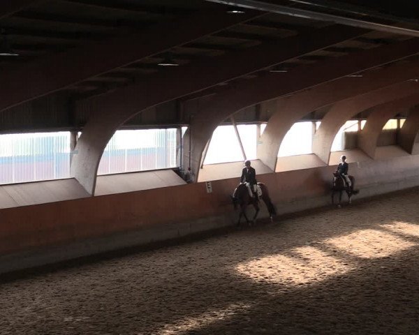 Reitturnier Ratingen-Volkardey 2023