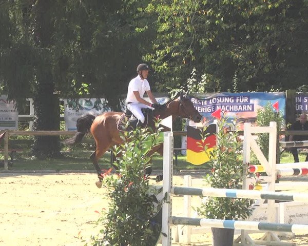 Springturnier Walldorf/Winterheck 2021