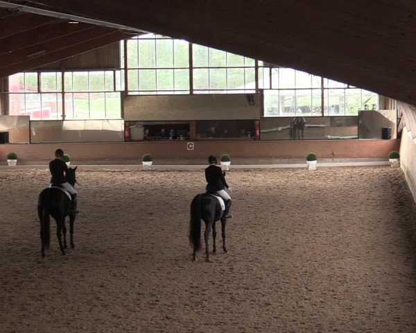 Reitturnier Ratingen-Volkardey 2023