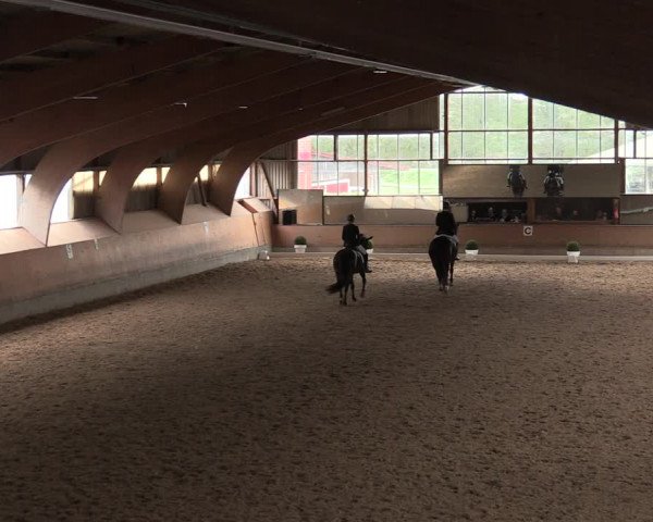 Reitturnier Ratingen-Volkardey 2023