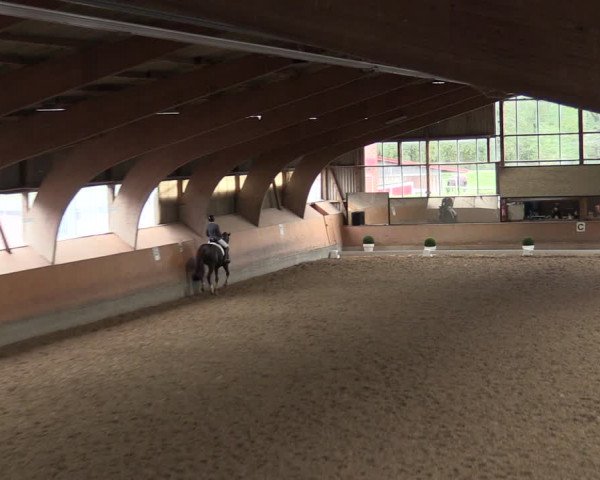 Reitturnier Ratingen-Volkardey 2023