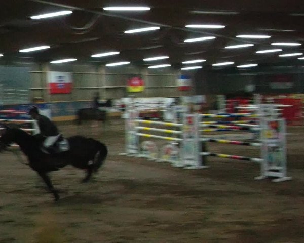Reitturnier Pausin 2023