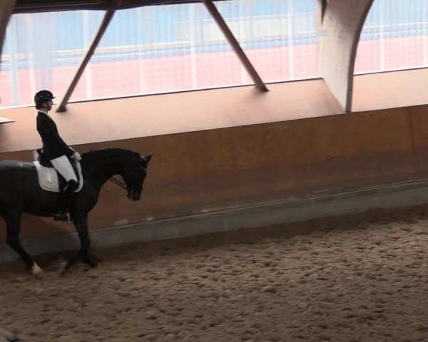 Reitturnier Ratingen-Volkardey 2023