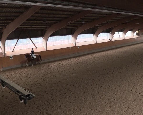 Reitturnier Ratingen-Volkardey 2023