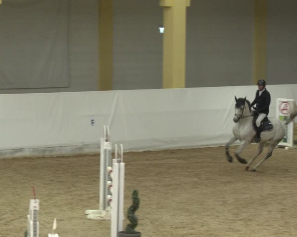 Springturnier Stadl-Paura 2023