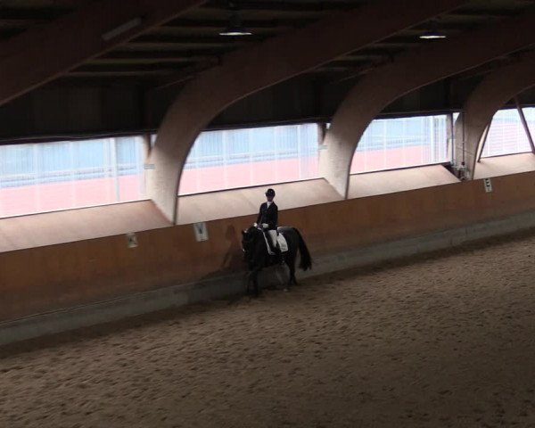 Reitturnier Ratingen-Volkardey 2023