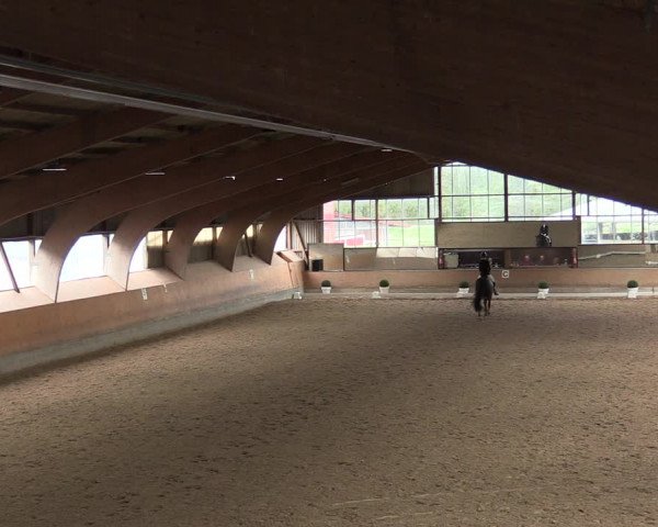 Reitturnier Ratingen-Volkardey 2023