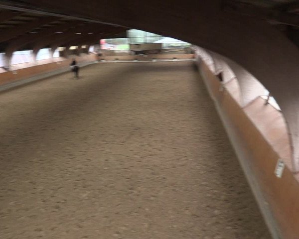 Reitturnier Ratingen-Volkardey 2023