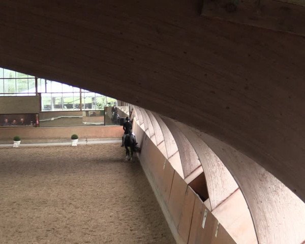 Reitturnier Ratingen-Volkardey 2023