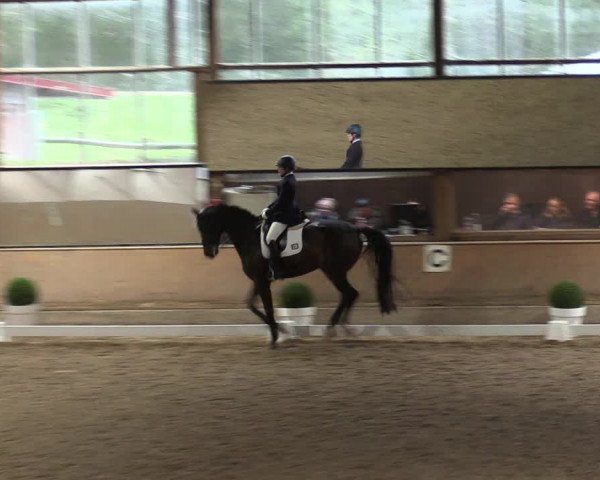 Reitturnier Ratingen-Volkardey 2023