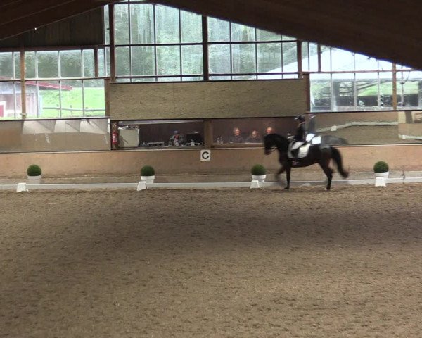 Reitturnier Ratingen-Volkardey 2023