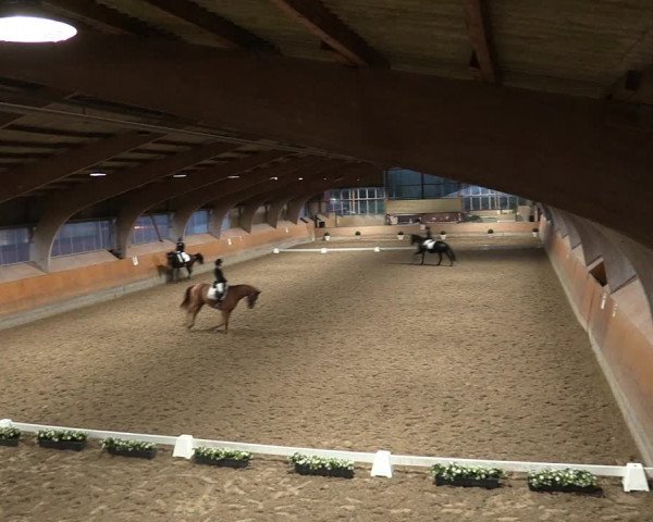 Reitturnier Ratingen-Volkardey 2023