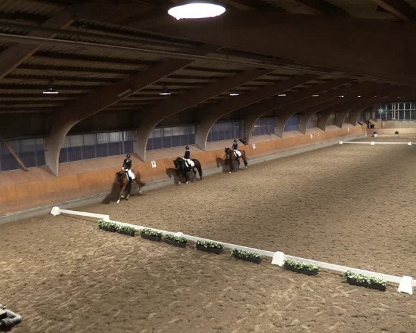 Reitturnier Ratingen-Volkardey 2023