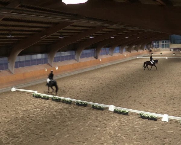 Reitturnier Ratingen-Volkardey 2023