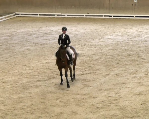 Reitturnier Schaffhausen 2023