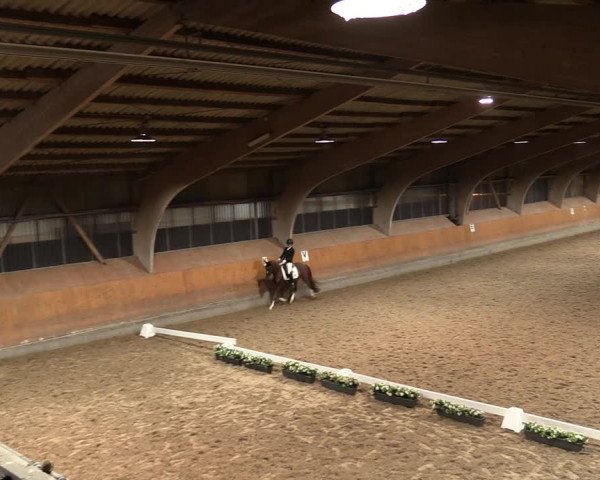 Reitturnier Ratingen-Volkardey 2023