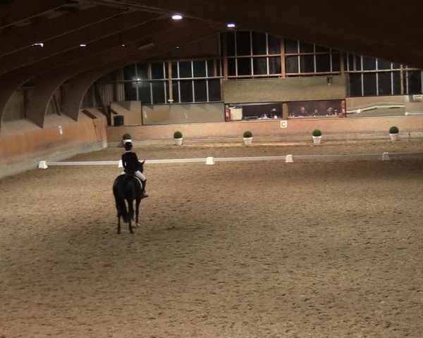 Reitturnier Ratingen-Volkardey 2023