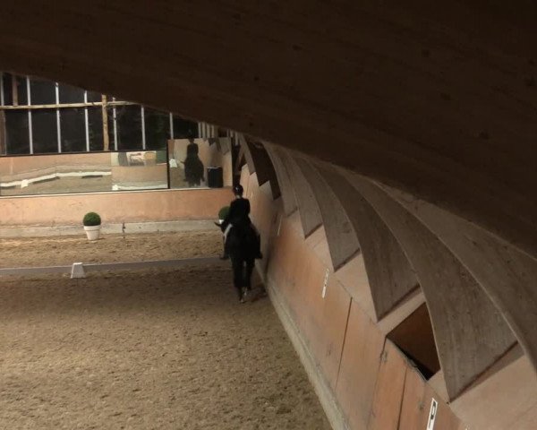 Reitturnier Ratingen-Volkardey 2023