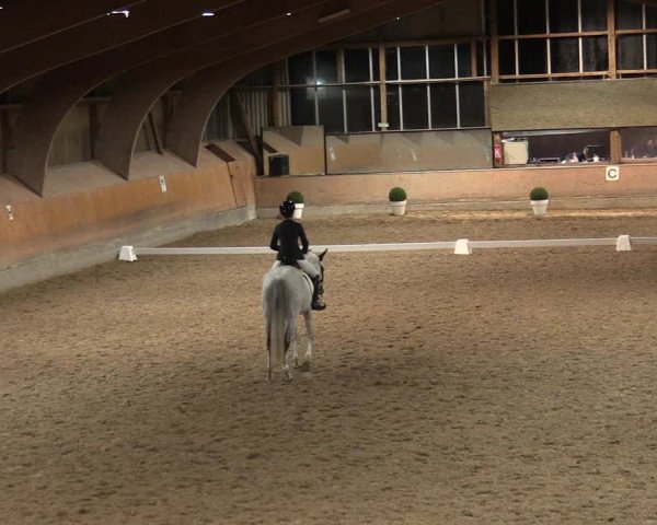 Reitturnier Ratingen-Volkardey 2023