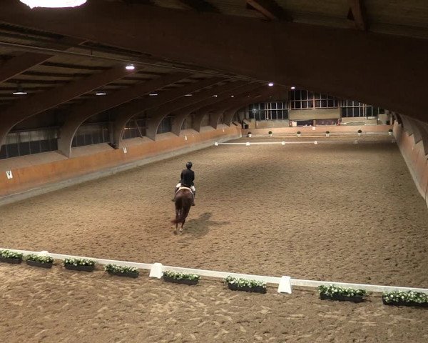 Reitturnier Ratingen-Volkardey 2023