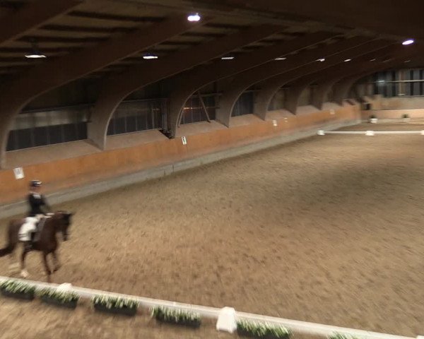 Reitturnier Ratingen-Volkardey 2023