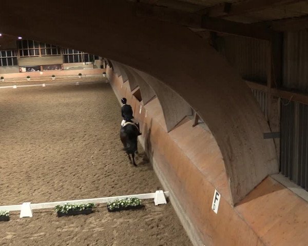 Reitturnier Ratingen-Volkardey 2023