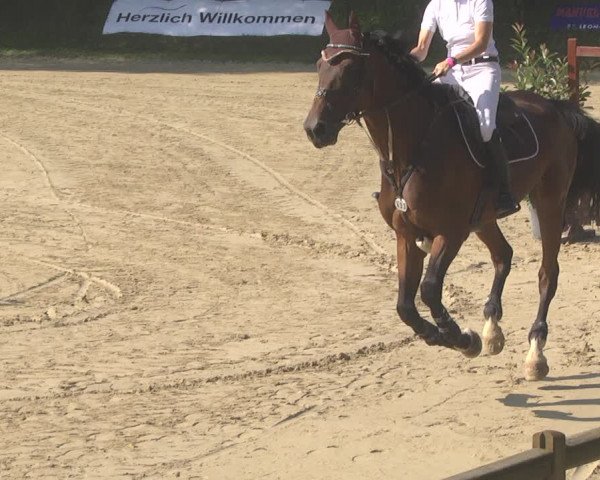 Springturnier Walldorf/Winterheck 2021