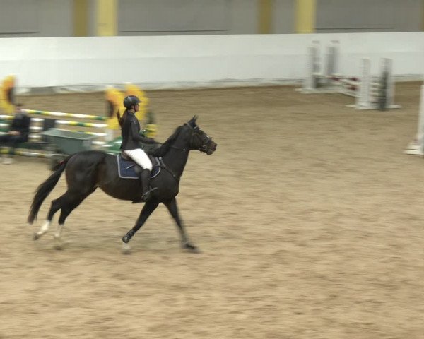 Springturnier Stadl-Paura 2023