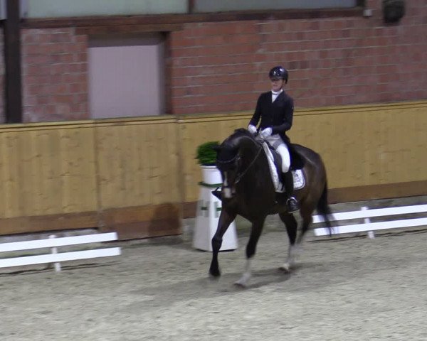 Reitturnier Hamburg-Friedrichshulde/Sylva Kuhrt 2023