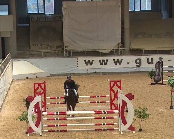 Reitturnier Kreuth 2023