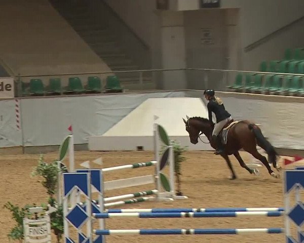 Reitturnier Kreuth 2023