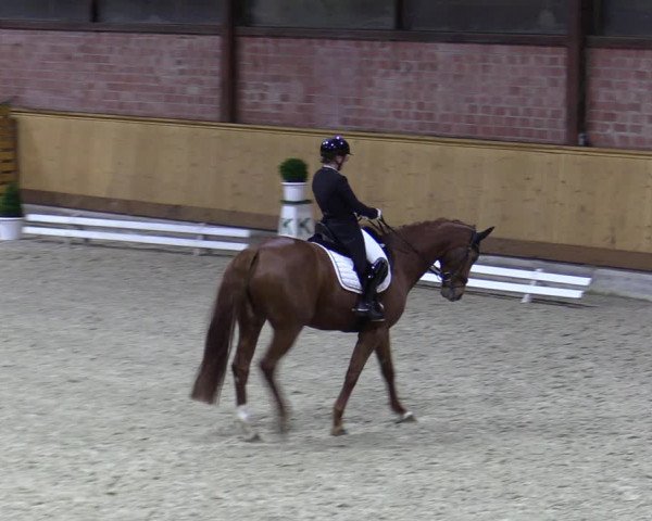 Reitturnier Hamburg-Friedrichshulde/Sylva Kuhrt 2023