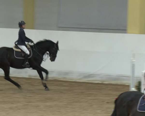 Springturnier Stadl-Paura 2023
