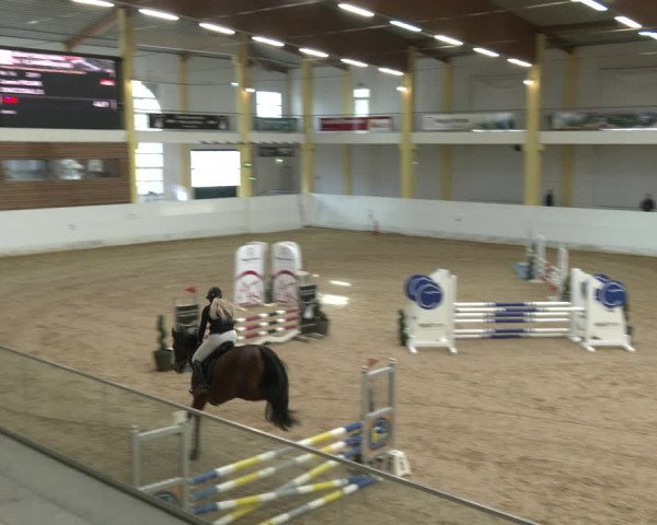 Springturnier Stadl-Paura 2023