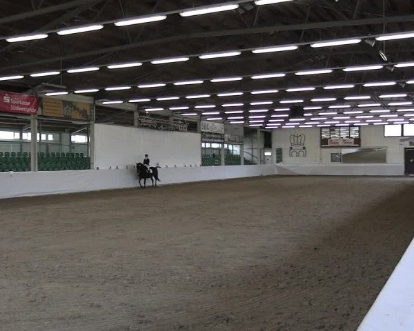 Reitturnier Zweibrücken-Landgestüt / Halle 2023