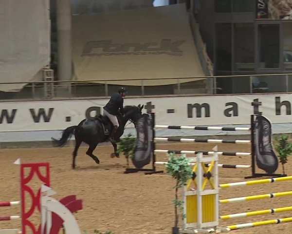 Reitturnier Kreuth 2023