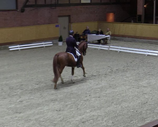 Reitturnier Hamburg-Friedrichshulde/Sylva Kuhrt 2023
