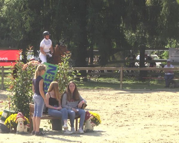 Springturnier Walldorf/Winterheck 2021