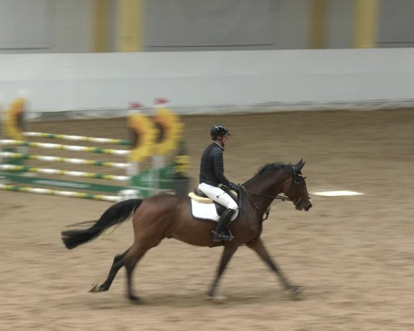 Springturnier Stadl-Paura 2023