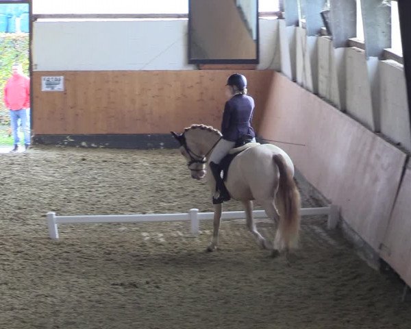 Reitturnier Datteln 2023