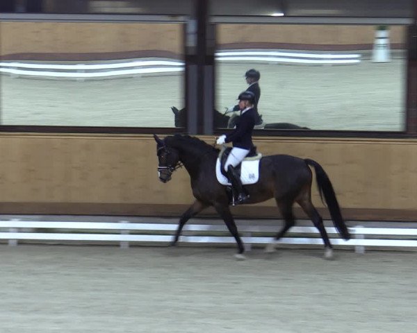 Reitturnier Hamburg-Friedrichshulde/Sylva Kuhrt 2023