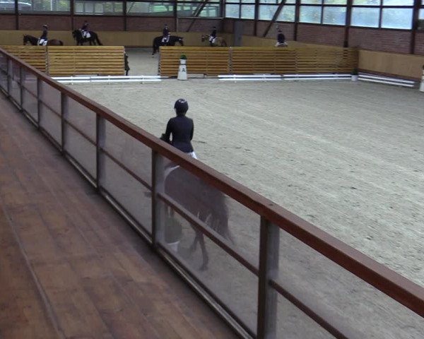 Reitturnier Hamburg-Friedrichshulde/Sylva Kuhrt 2023