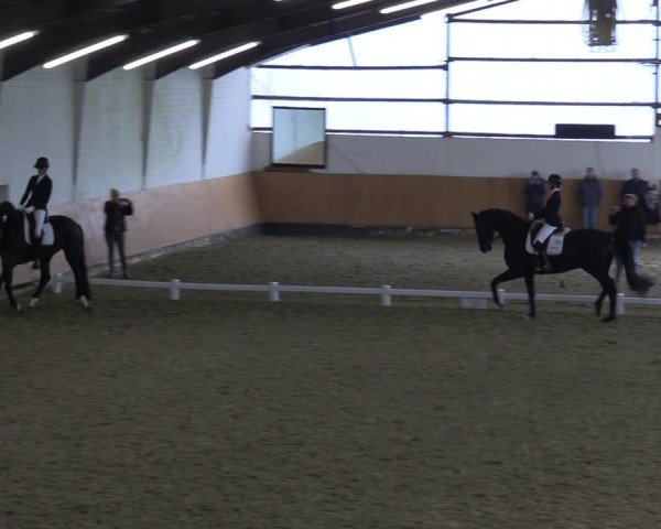 Reitturnier Datteln 2023