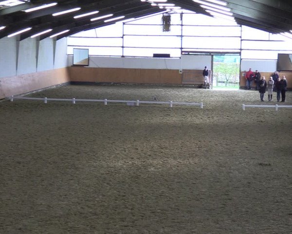Reitturnier Datteln 2023