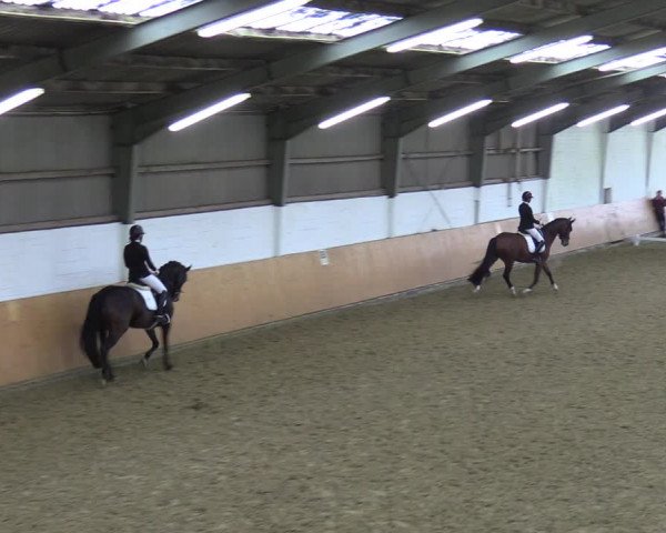 Reitturnier Datteln 2023